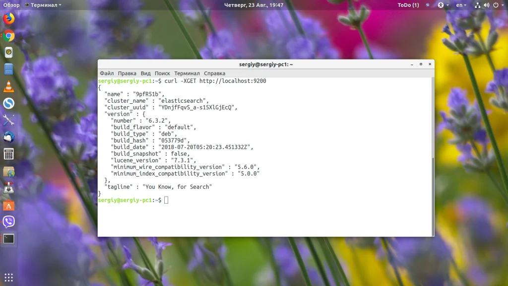 Elasticsearch: Полное руководство по установке, настройке и эффективному поиску данных