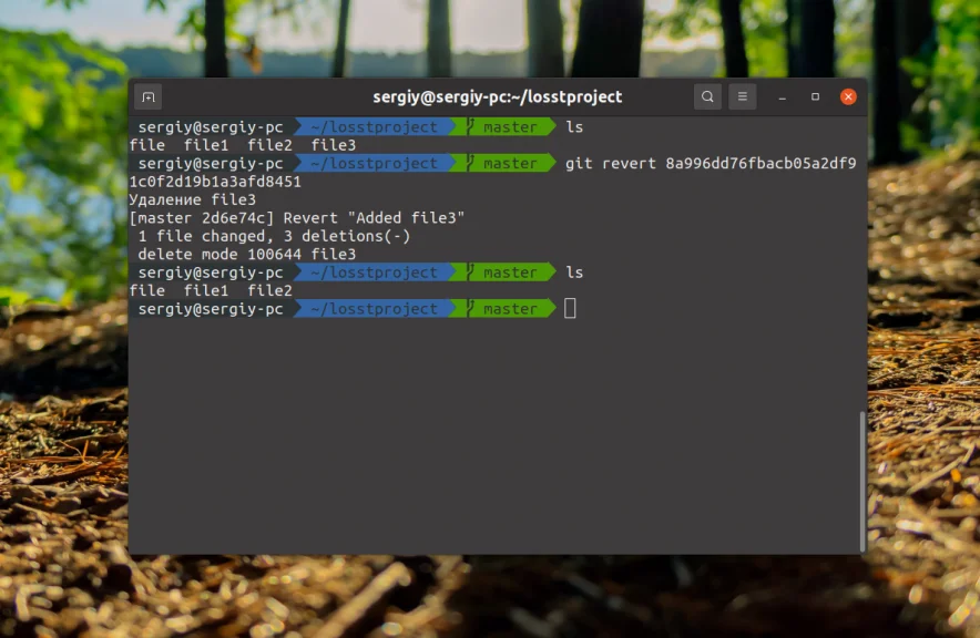Ошибся в коммите? 4 способа откатить изменения в Git без паники