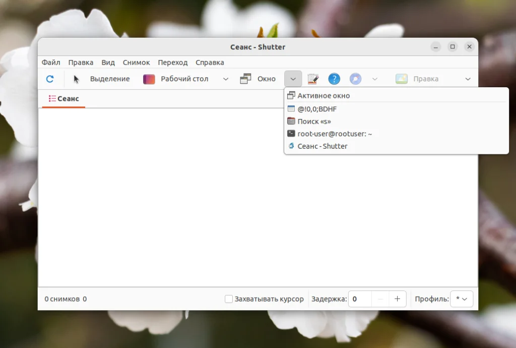 Захватываем экран Ubuntu: 2 способа сделать идеальный скриншот