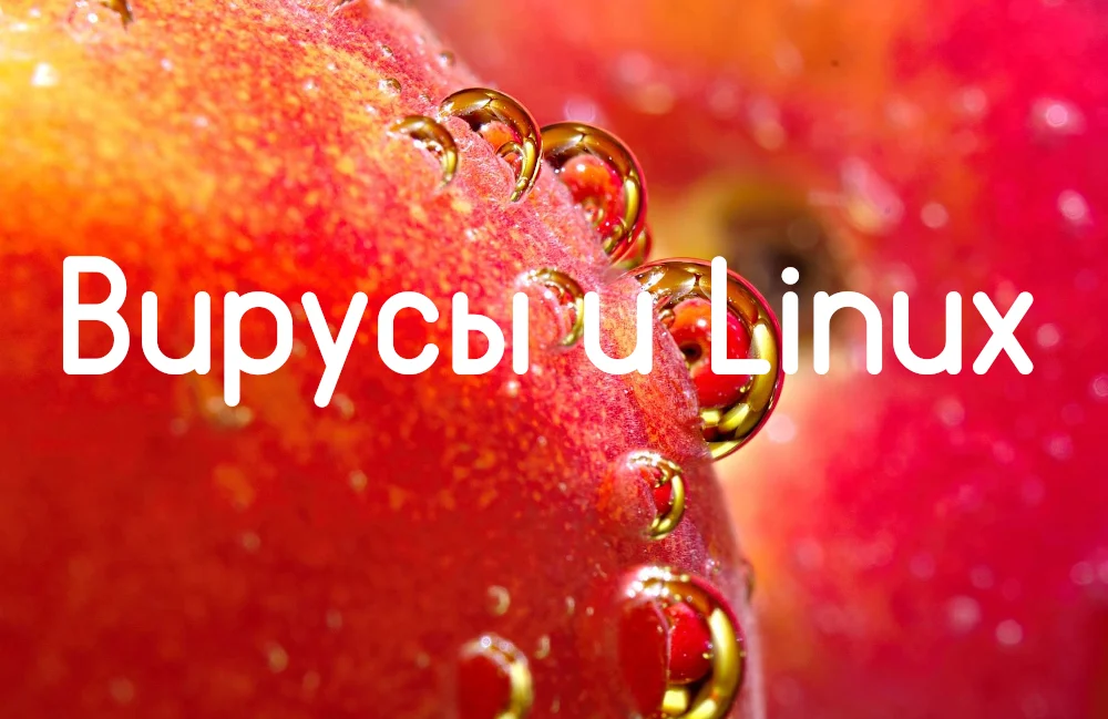 Linux неуязвим для вирусов? Разрушаем главный миф