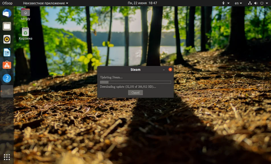 Игры на Ubuntu 20.04: Полная установка Steam за 5 минут