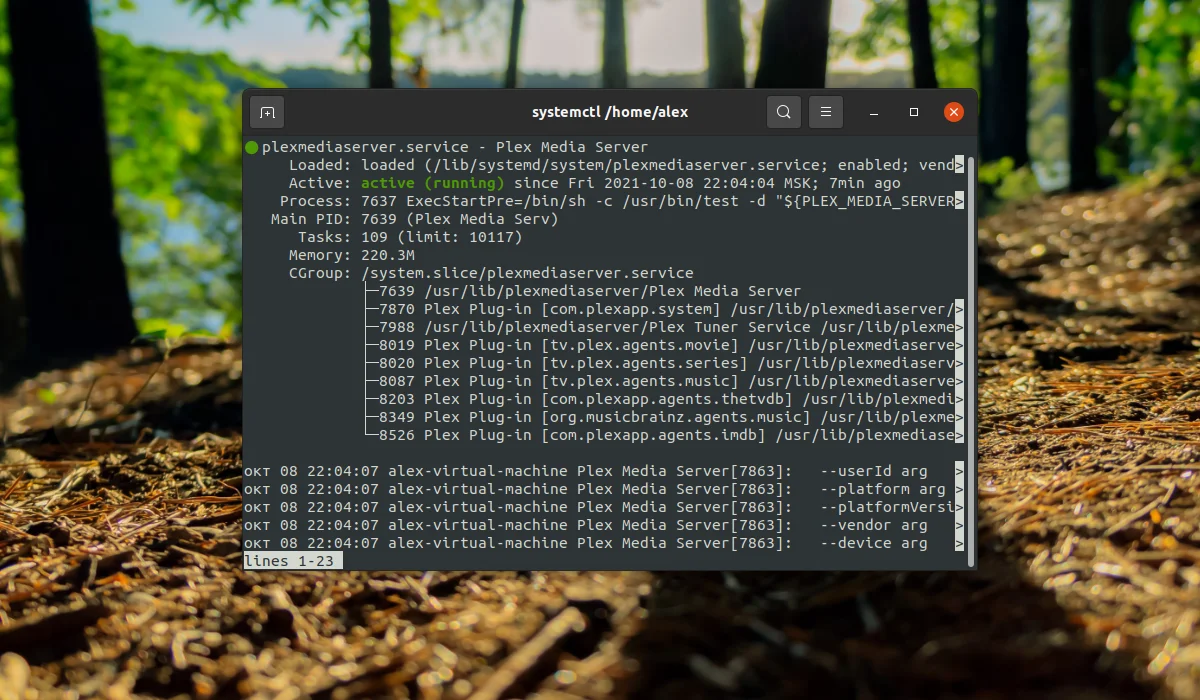 Ваш домашний кинотеатр на Ubuntu 20.04: Устанавливаем Plex Media Server за 5 минут
