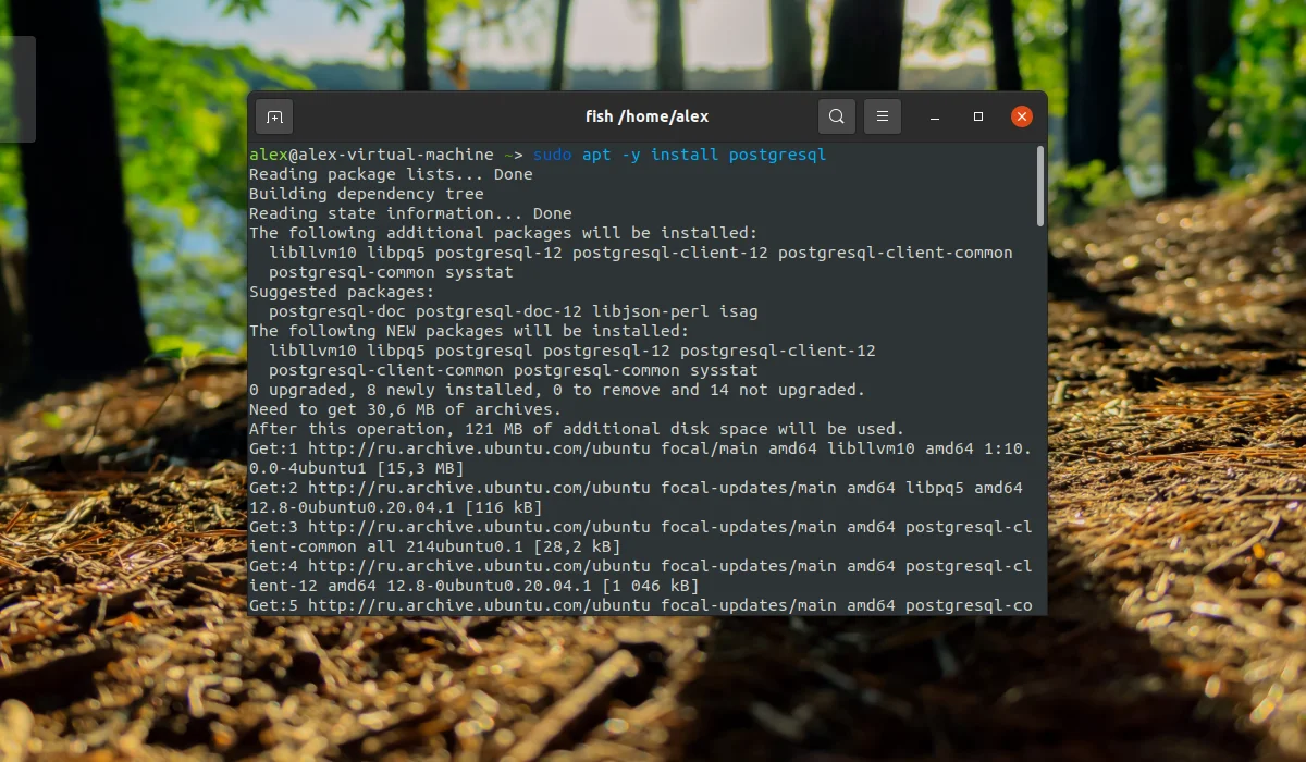 PostgreSQL в Ubuntu: Полная установка и настройка за 10 минут