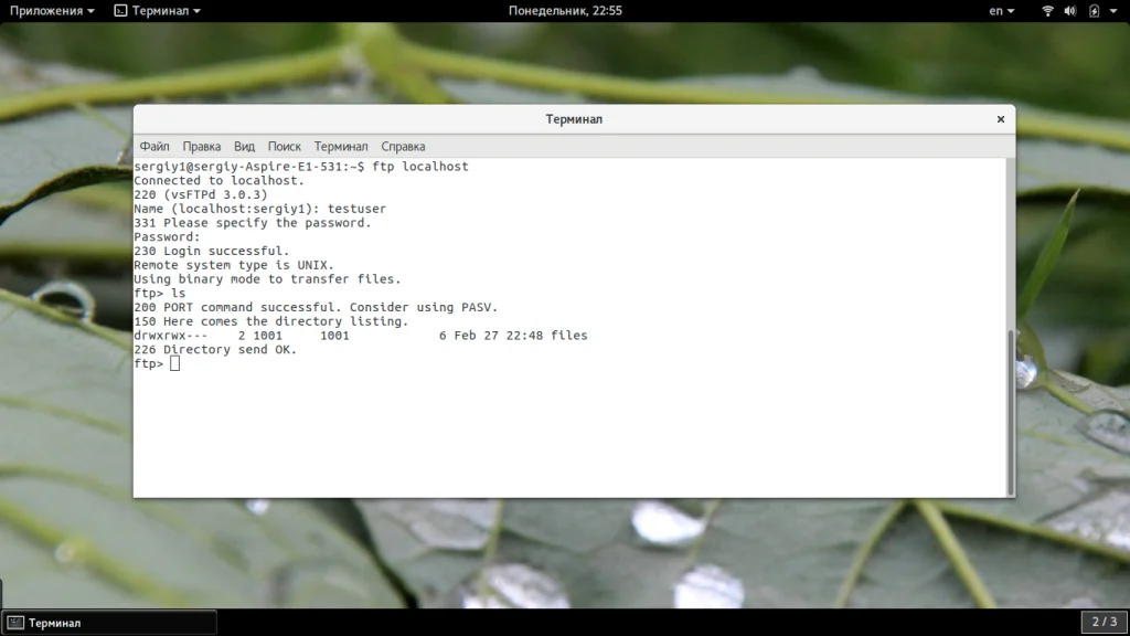 FTP-сервер на Ubuntu 20.04: Быстрая настройка и защита от уязвимостей
