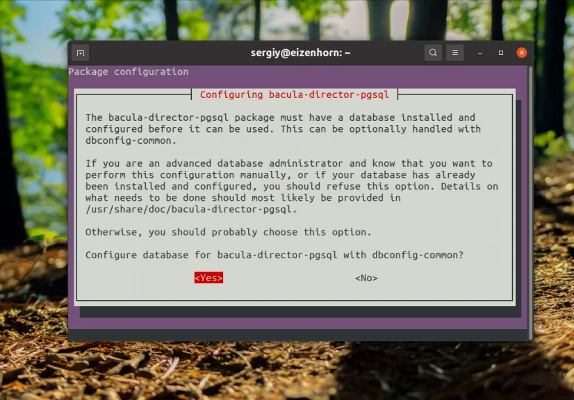 Bacula: Настройте надежное резервное копирование на Linux за 6 шагов