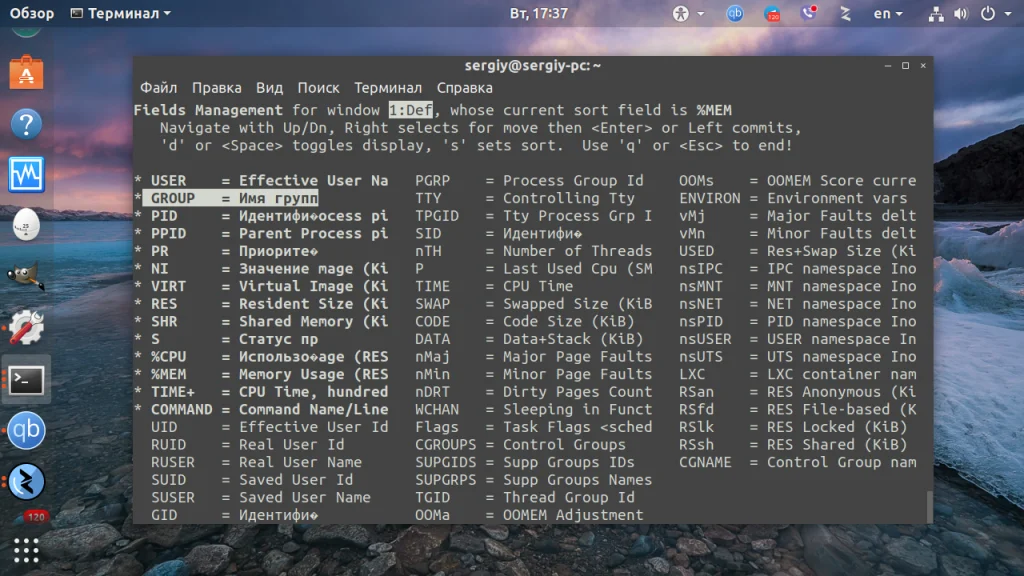 TOP в Linux: Полный гид по мониторингу системы, о котором вы не знали
