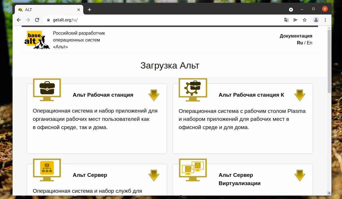 ALT Linux: Полный гайд по установке российского дистрибутива с флешки