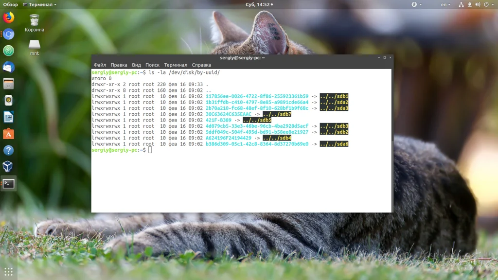Где смотреть UUID диска в Linux: 4 простых способа