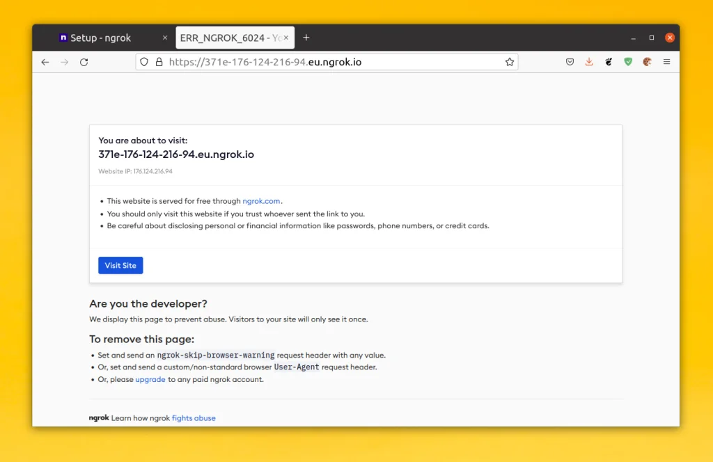 Ngrok: Как вывести локальный сервер в интернет за 5 минут