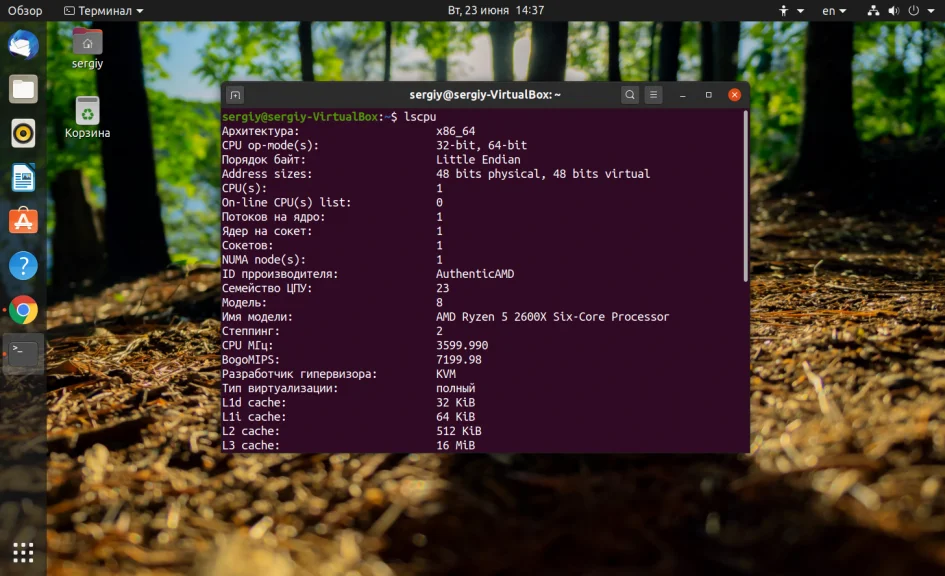 Какая у тебя Ubuntu? 4 быстрых способа узнать версию