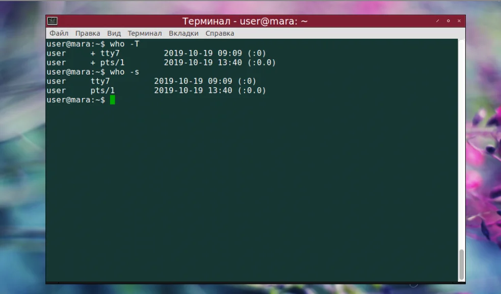 Кто сейчас в системе? Изучаем команду who в Linux