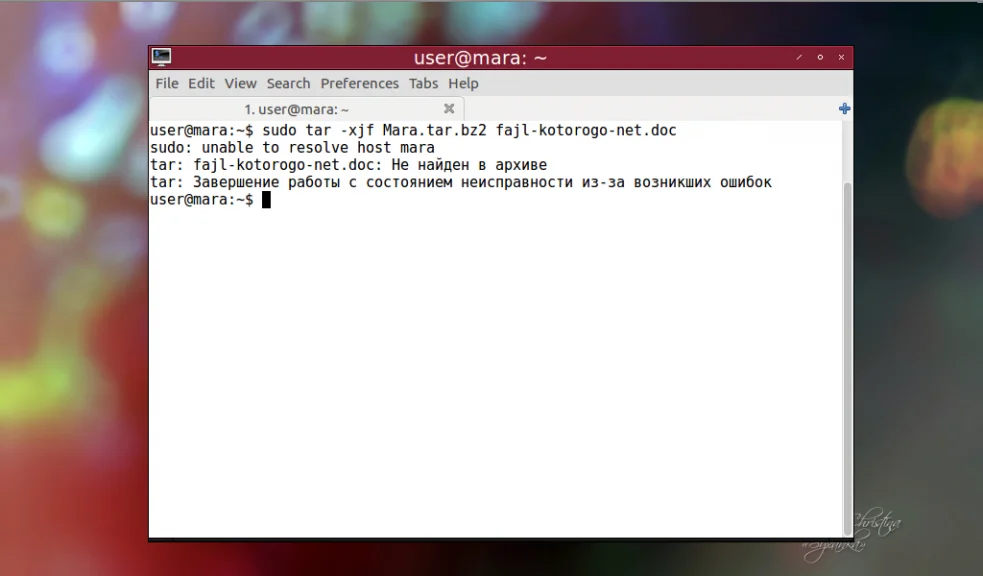 Распаковываем .tar.bz2 в Linux: 4 простых способа для новичков и не только