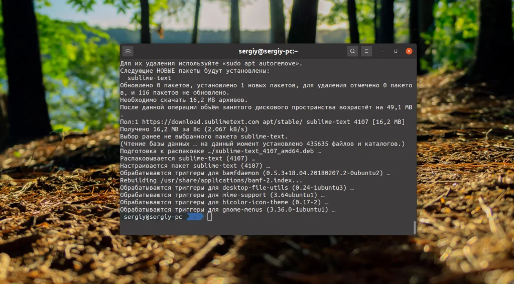 Sublime Text 3 в Ubuntu 20.04: 4 простых способа установки