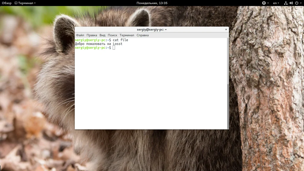 Команда cat в Linux: Секреты, о которых вы не знали