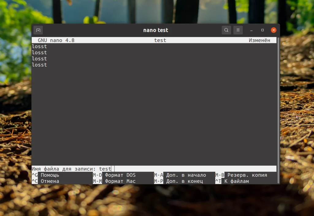 Сохраняем в nano без стресса: 2 простых способа для новичков Linux