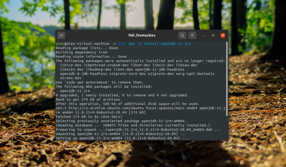 Java в Ubuntu 20.04: Полное руководство по установке всех версий