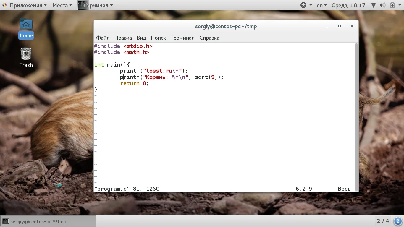 Создаём с нуля: твой первый код для Linux
