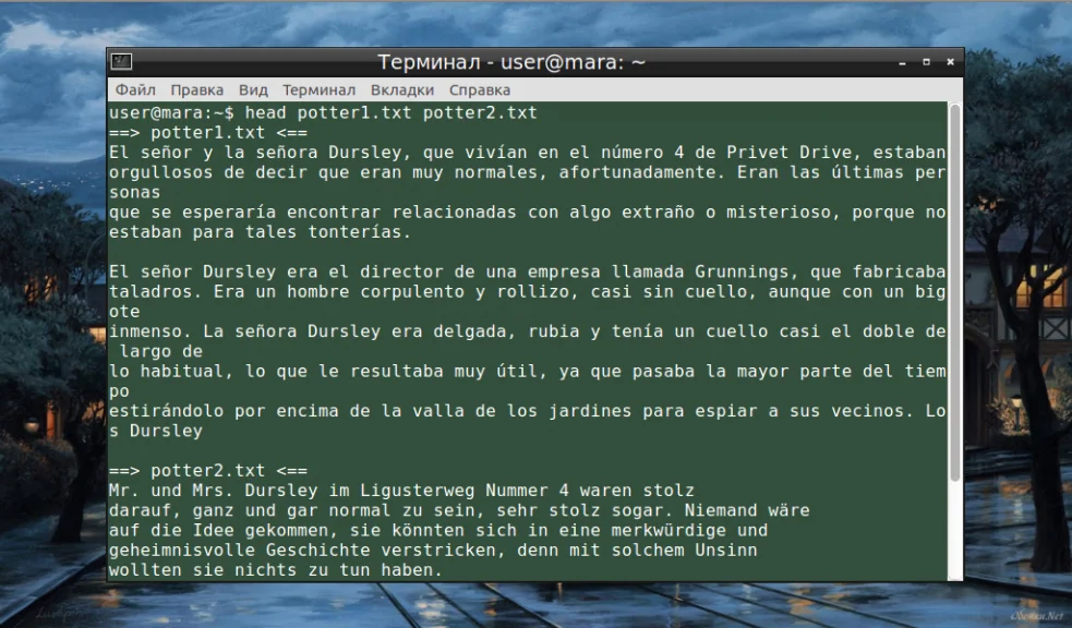 Head в Linux: как быстро просмотреть начало файла и скрытые возможности команды