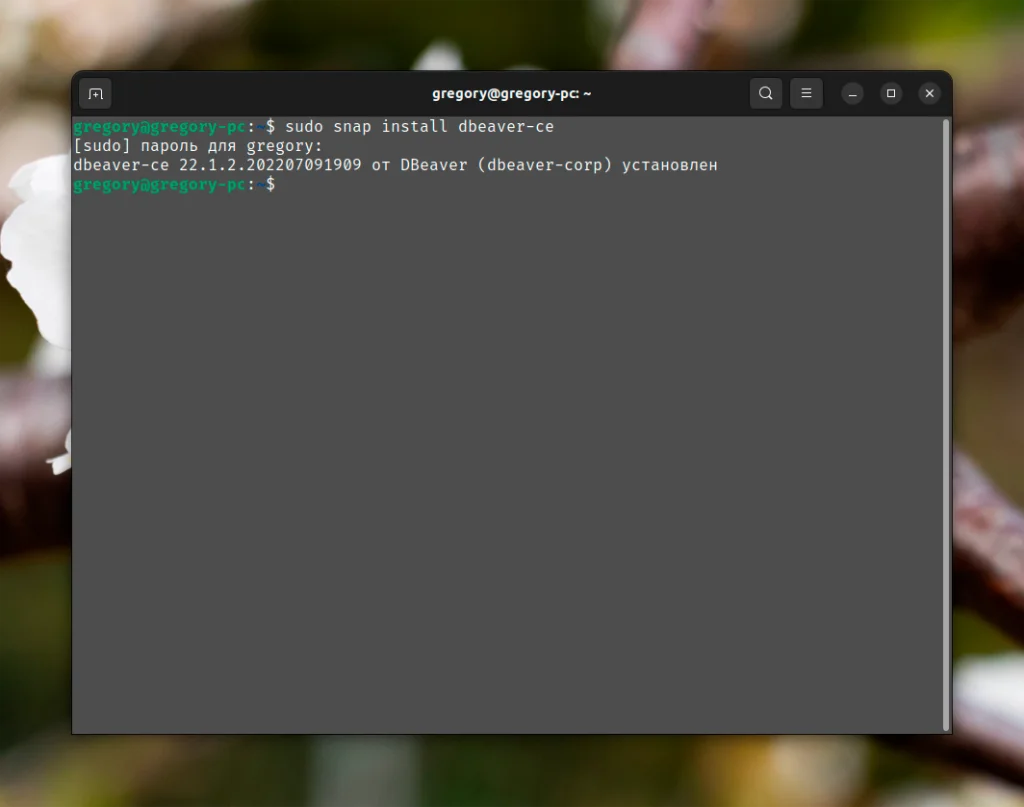 DBeaver в Ubuntu 22.04: 3 простых способа установки и быстрый старт