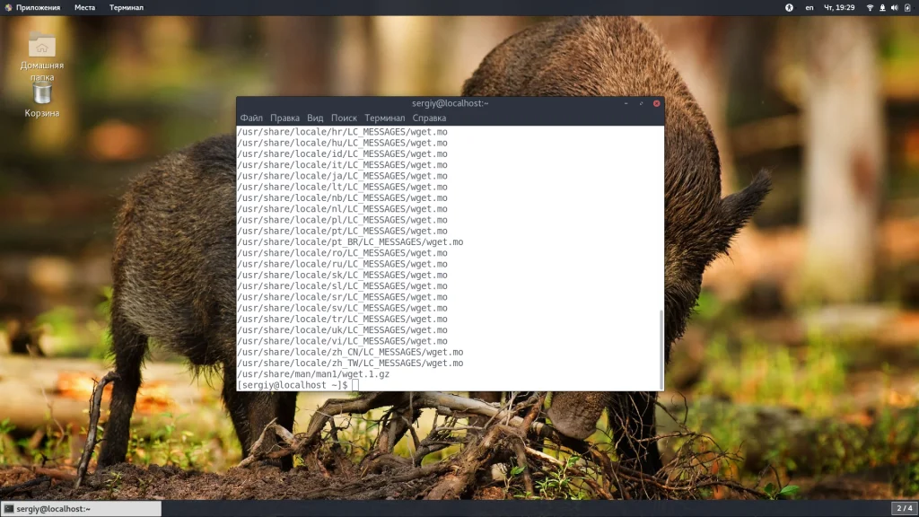 CentOS: Как узнать всё установленное ПО за 5 минут