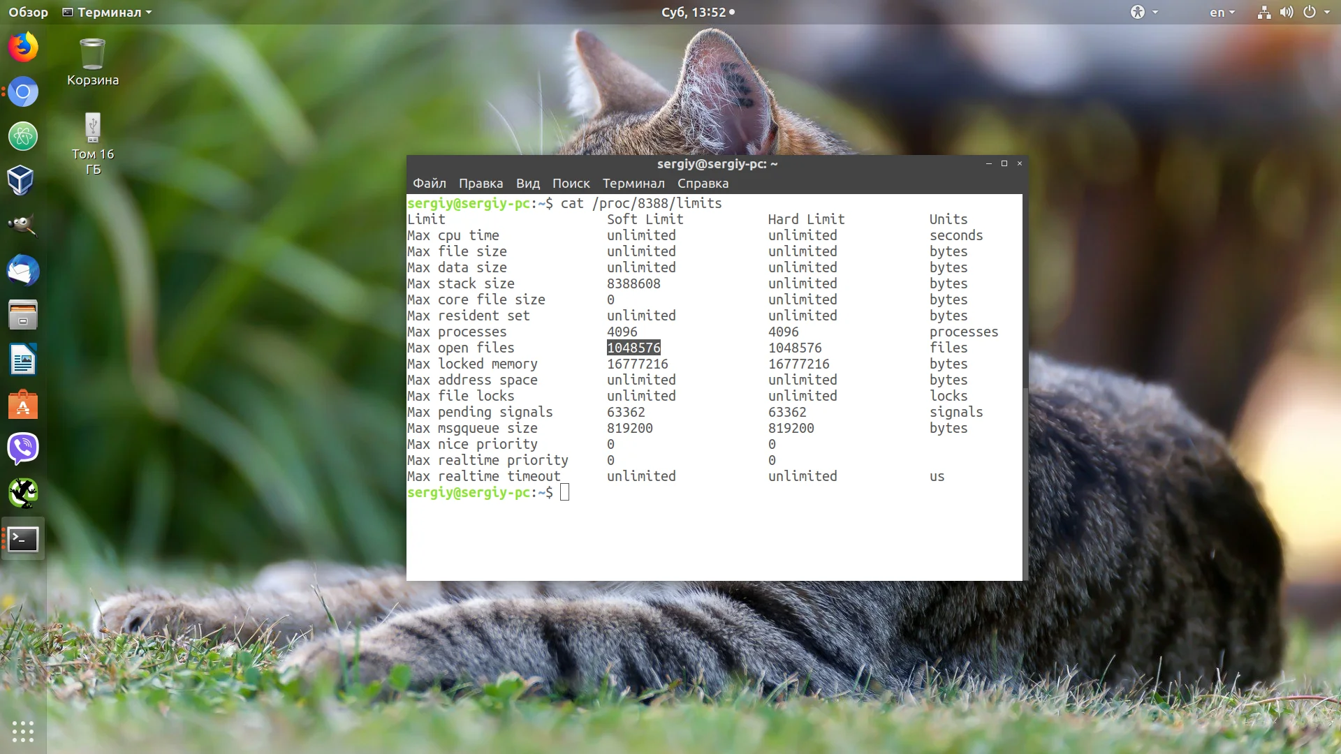 Слишком много файлов в Linux: как снять ограничение и забыть об ошибке