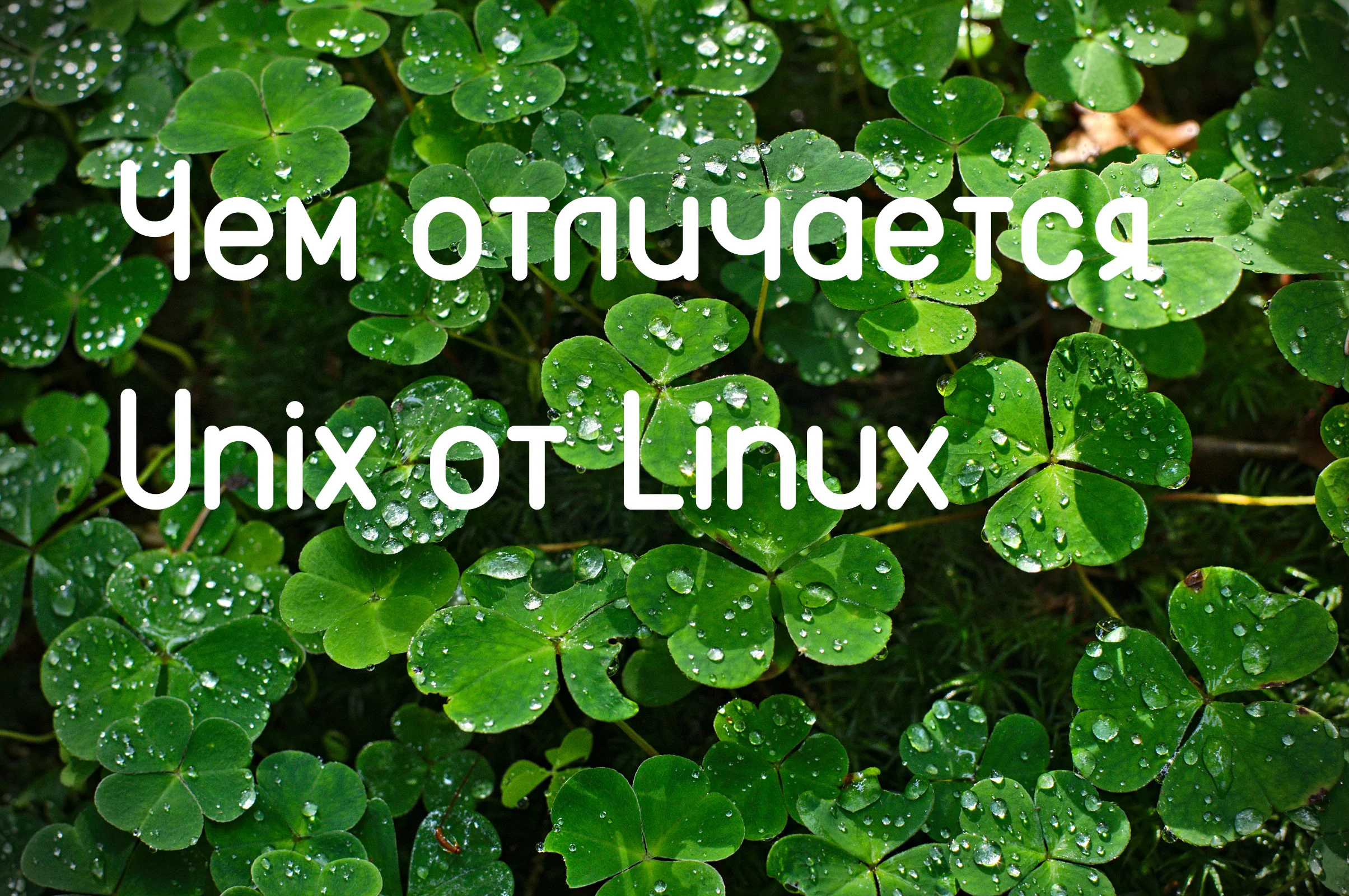 UNIX против Linux: Главная битва операционных систем, о которой вы не знали