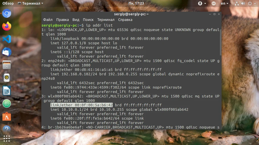 Раздаем Wi-Fi в Ubuntu: Простое руководство для всех