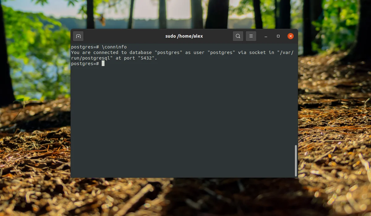 PostgreSQL в Ubuntu: Полная установка и настройка за 10 минут