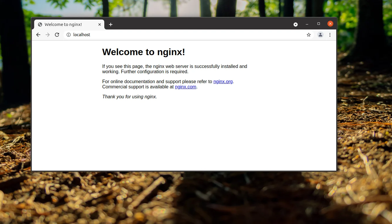 Nginx + PHP-FPM на Ubuntu 20.04: Полное руководство по настройке мощного связующего звена