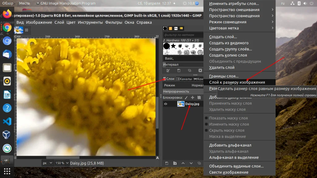 Меняем размер изображения в GIMP: полный гайд для новичков и профи