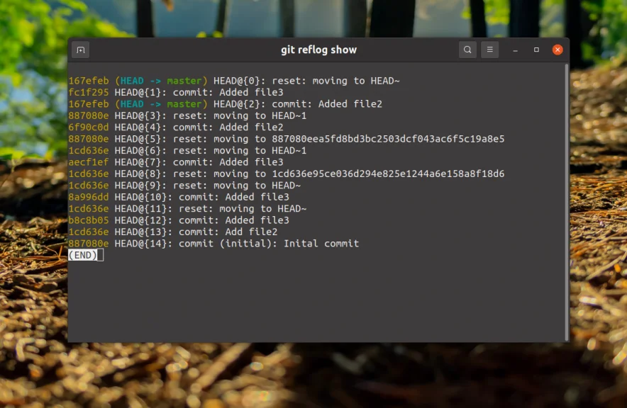 Ошибся в коммите? 4 способа откатить изменения в Git без паники