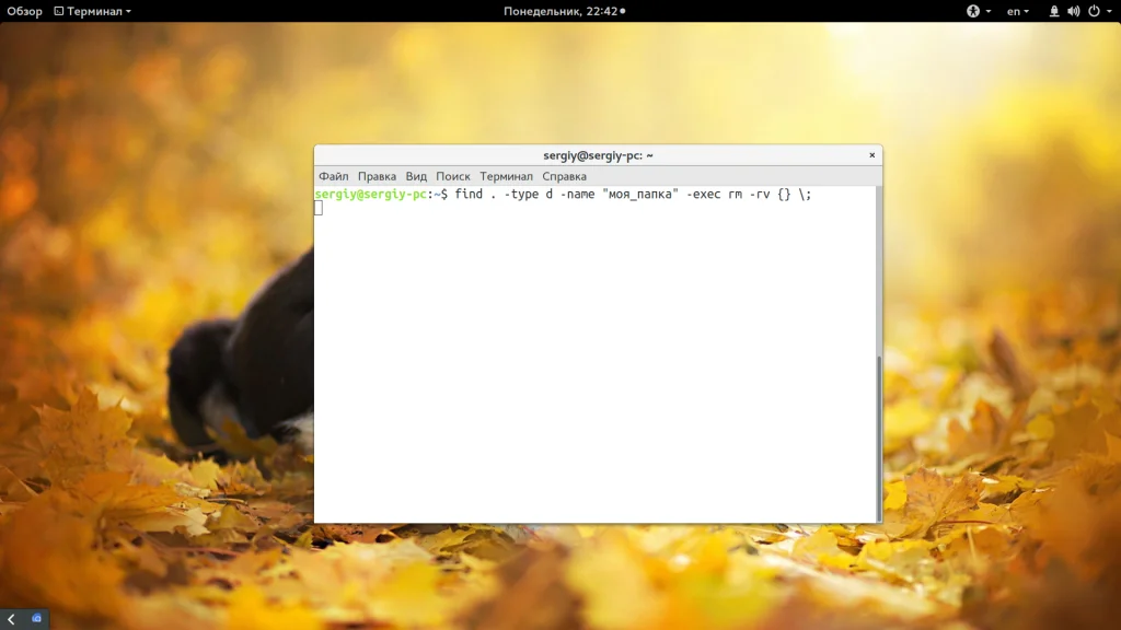 Удаляем папки в Linux: 5 способов, о которых вы не знали