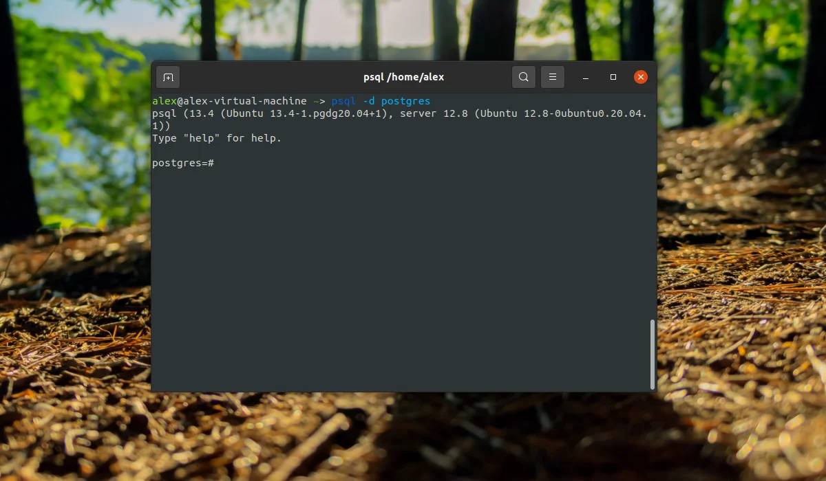 PostgreSQL в Ubuntu: Полная установка и настройка за 10 минут
