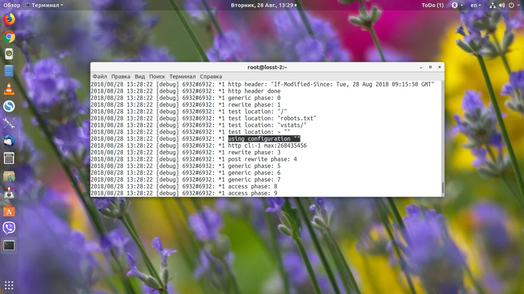 Страница не найдена в Nginx: как быстро найти и исправить причину ошибки 404