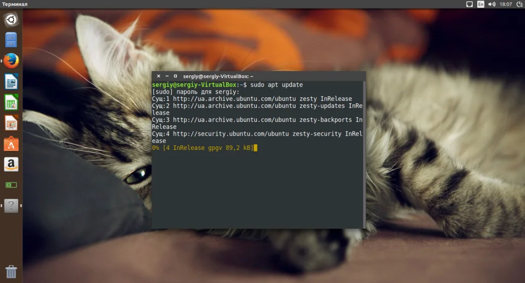 Ubuntu 17.04: Полная настройка системы для идеальной работы