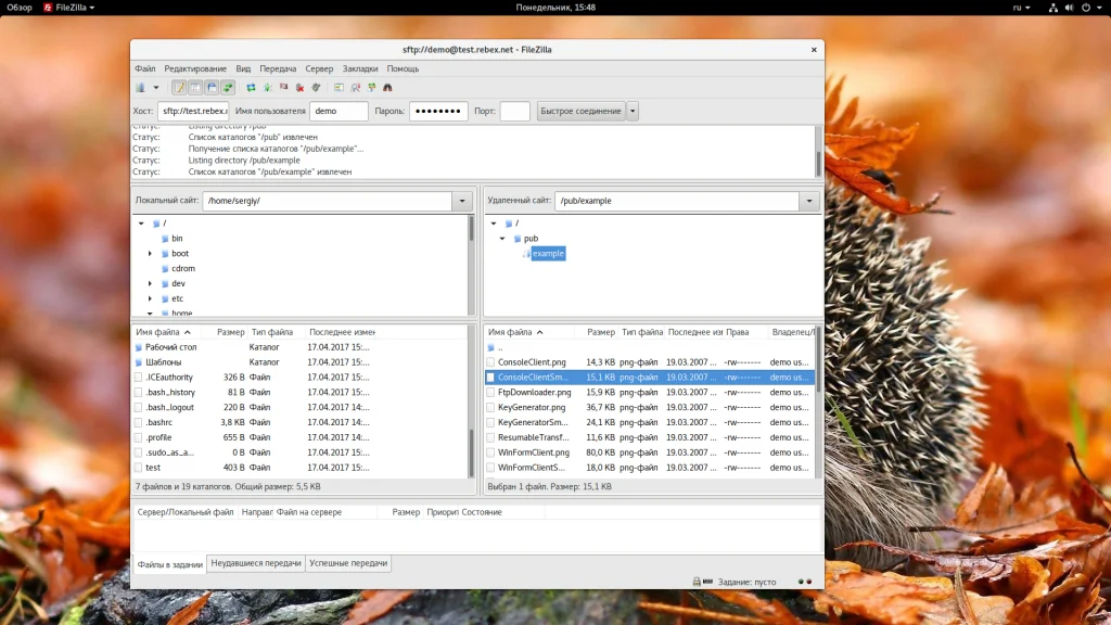 FileZilla: Полное руководство по работе с FTP-клиентом для начинающих