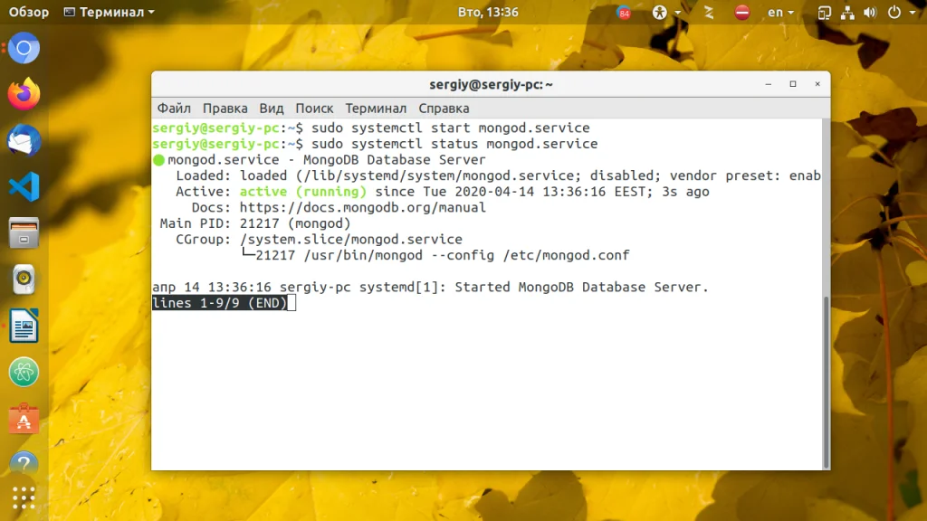 MongoDB на Ubuntu: Полная инструкция по установке и настройке за 5 минут