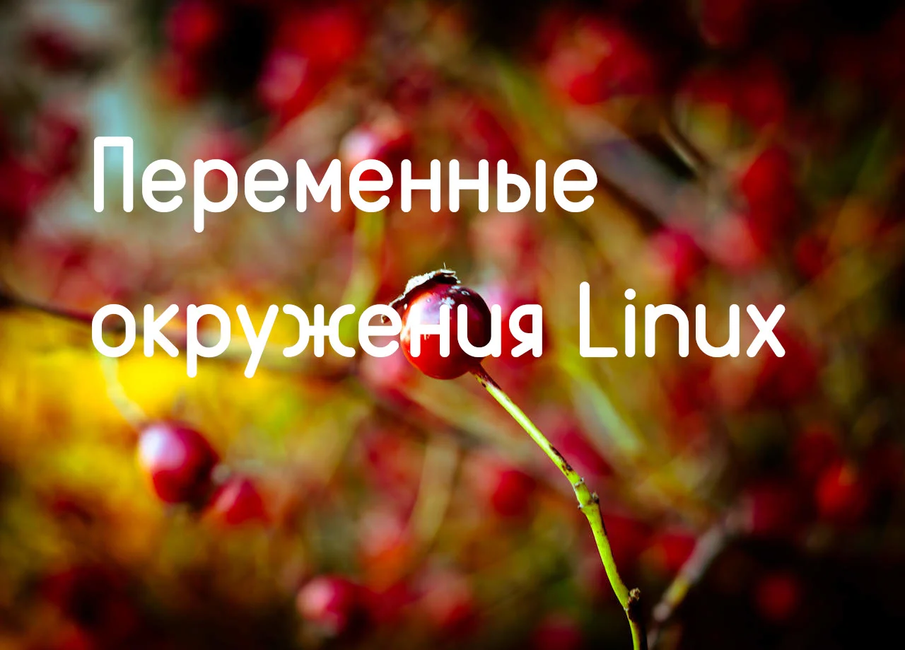 Переменные окружения в Linux: полный гайд для начинающих и не только
