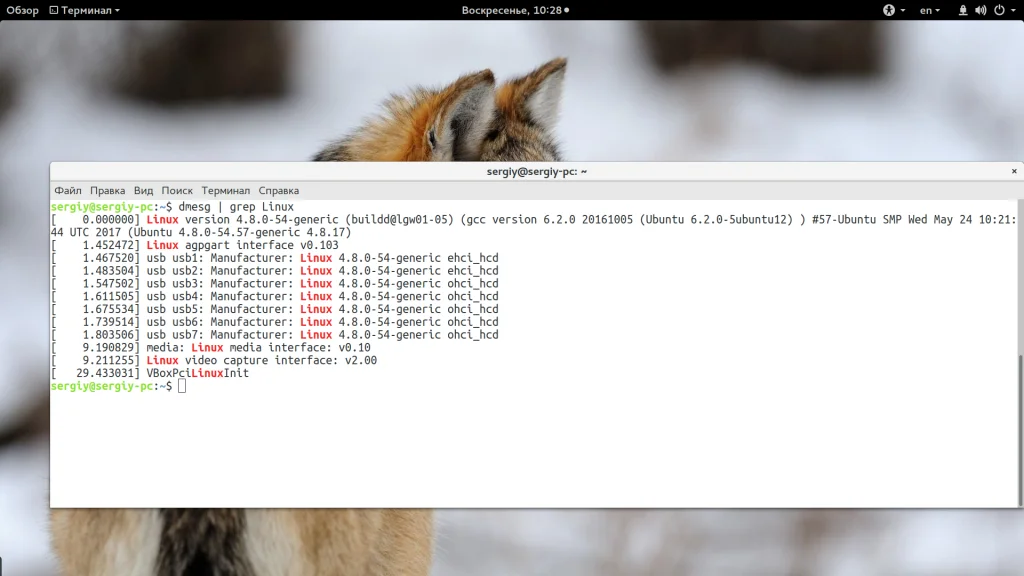 Какая версия ядра Linux у вас стоит? 5 способов проверить за минуту