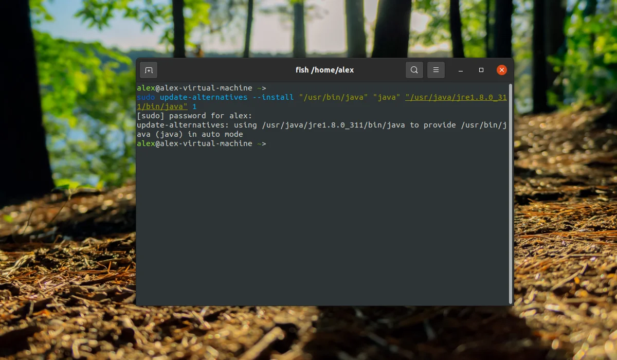 Java в Linux: Полное руководство по установке JDK и JRE для Ubuntu, CentOS и Arch