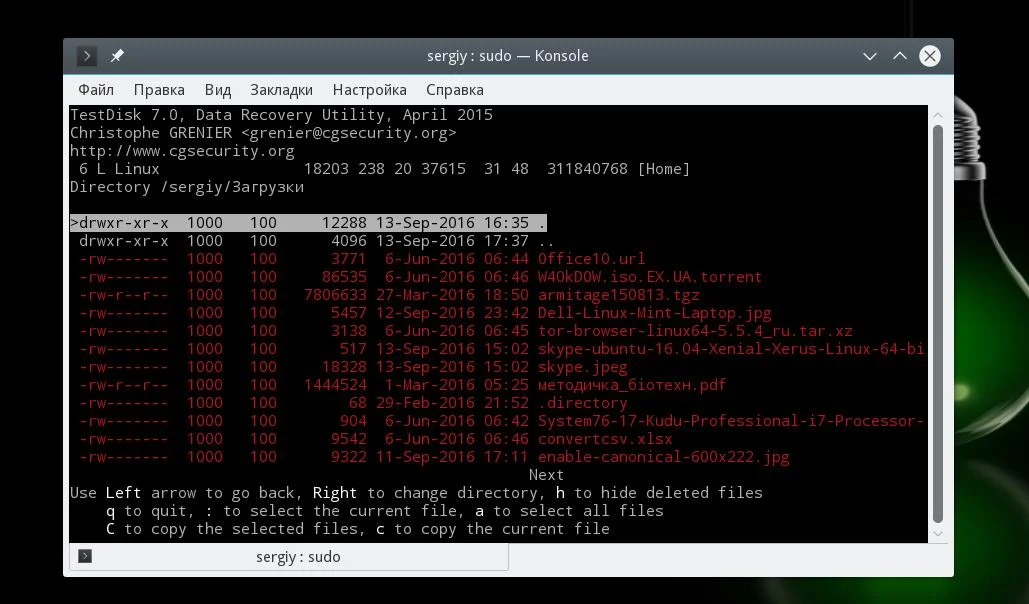 Удалили важный файл в Linux? Верните его! 3 рабочих способа