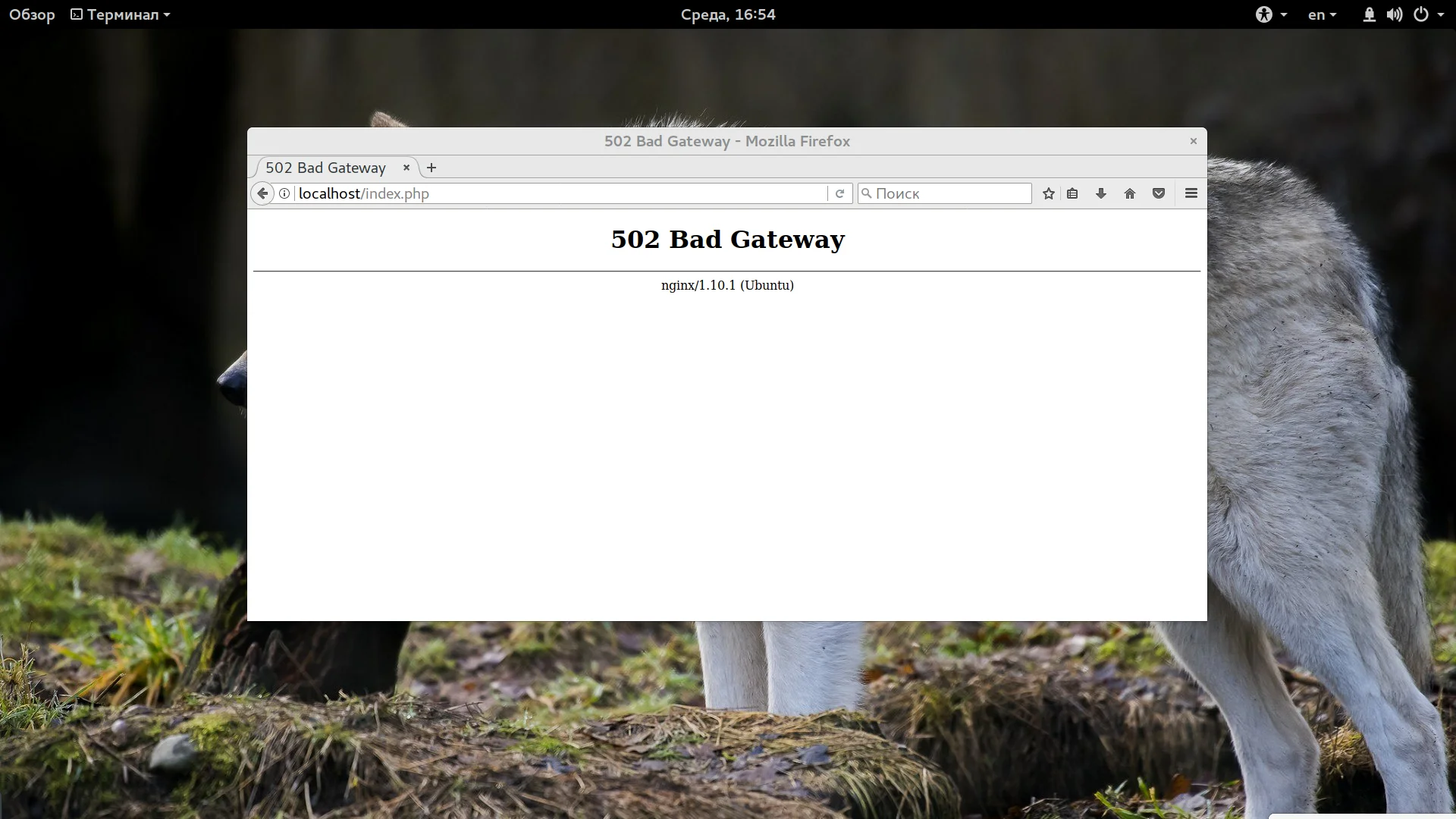 502 Bad Gateway в Nginx: как быстро найти и исправить причину ошибки