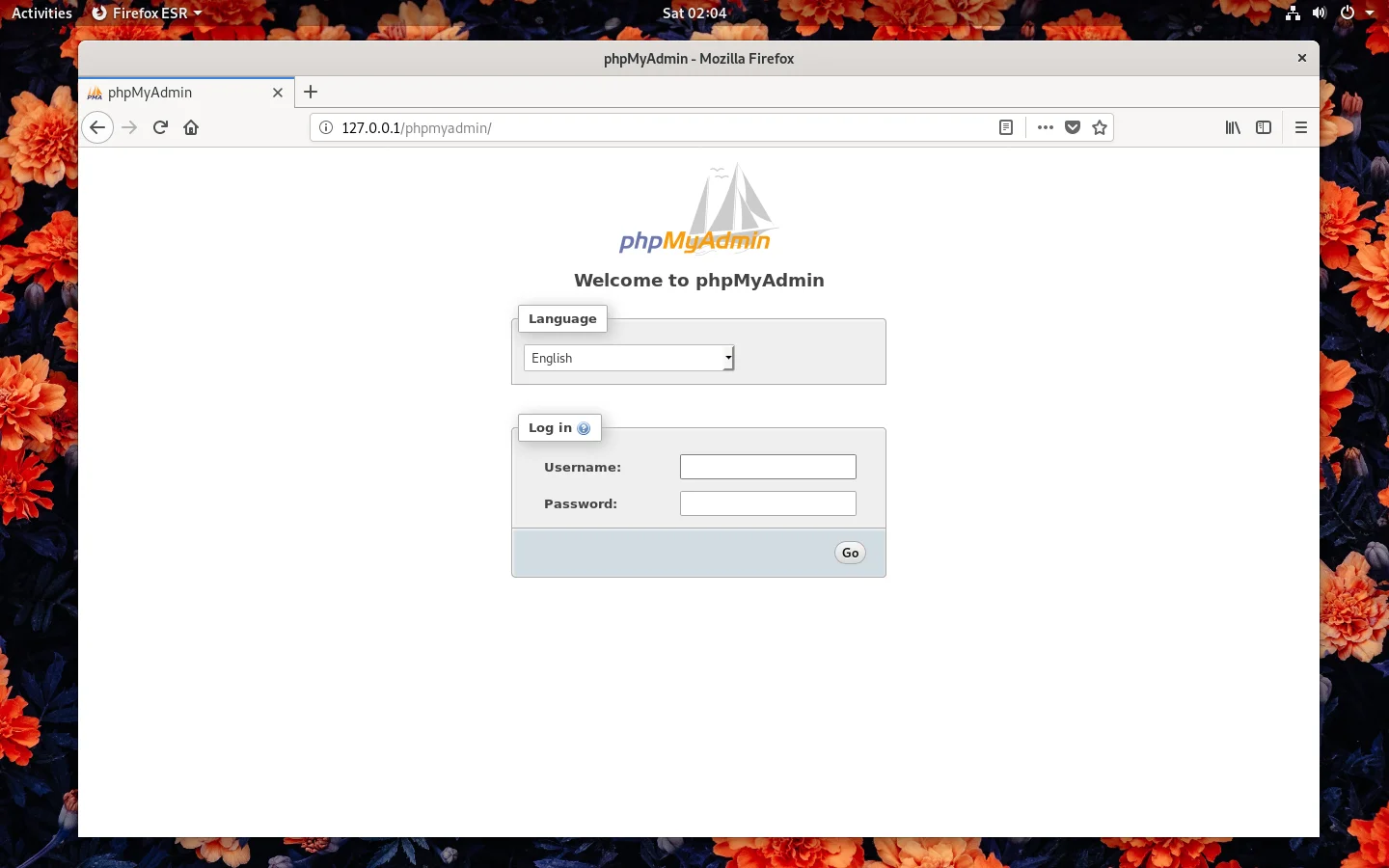Управляй базами данных Debian 10 легко: Полная установка phpMyAdmin
