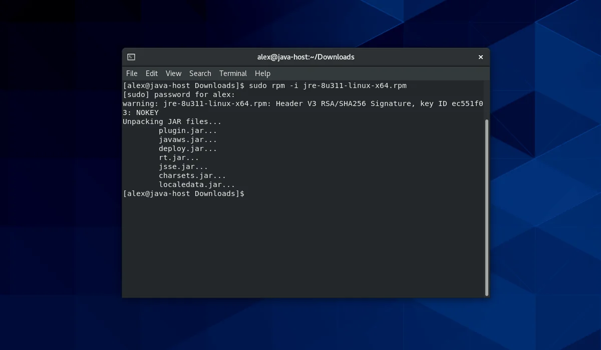 Java в Linux: Полное руководство по установке JDK и JRE для Ubuntu, CentOS и Arch