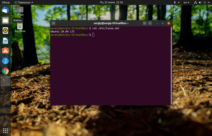 Какая у тебя Ubuntu? 4 быстрых способа узнать версию