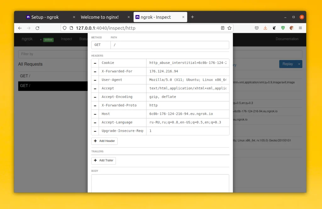 Ngrok: Как вывести локальный сервер в интернет за 5 минут