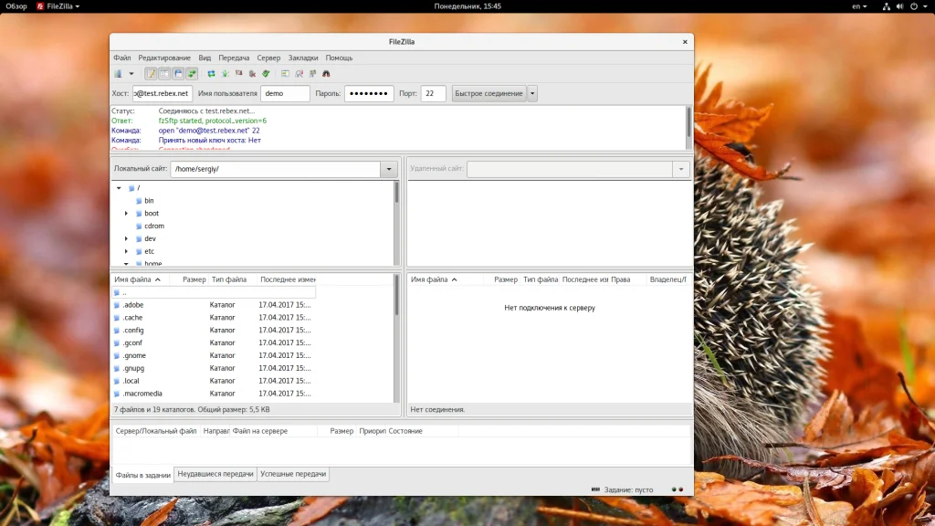 FileZilla: Полное руководство по работе с FTP-клиентом для начинающих