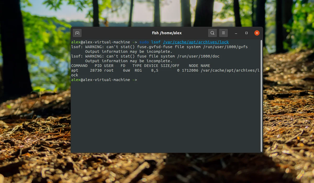 Завис apt в Ubuntu? Исправляем ошибку блокировки пакетного менеджера за 2 минуты