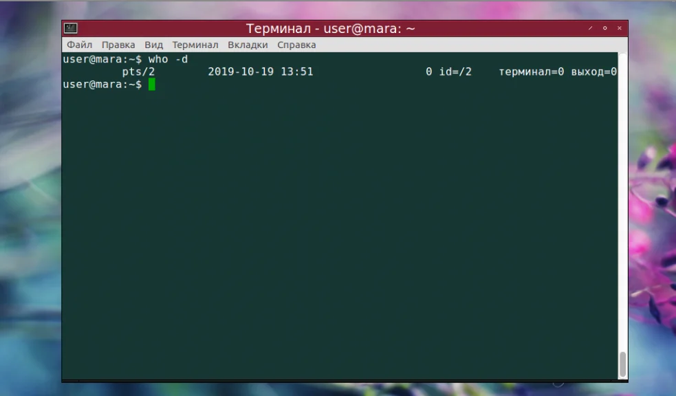 Кто сейчас в системе? Изучаем команду who в Linux