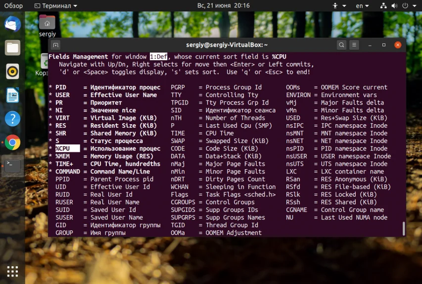 Процессы Linux: как увидеть всё, что скрыто от глаз